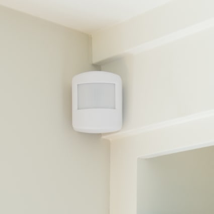 Flint motion sensor