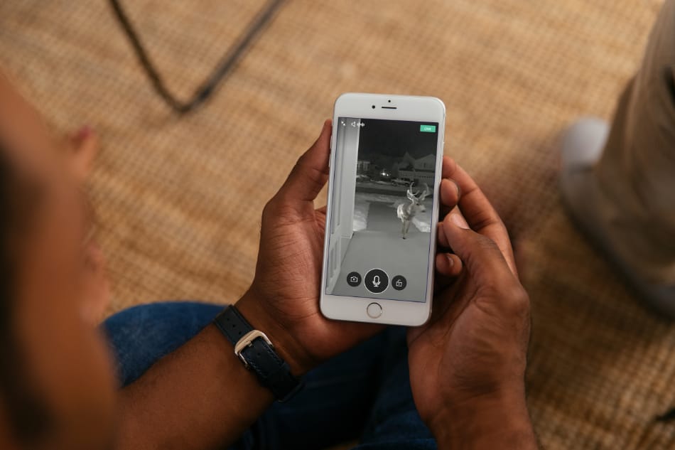 Mount Morris MI security system